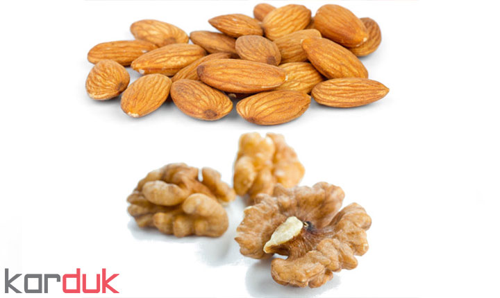 طرح توجیهی میوه خشک