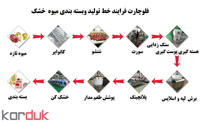 طرح توجیهی میوه خشک