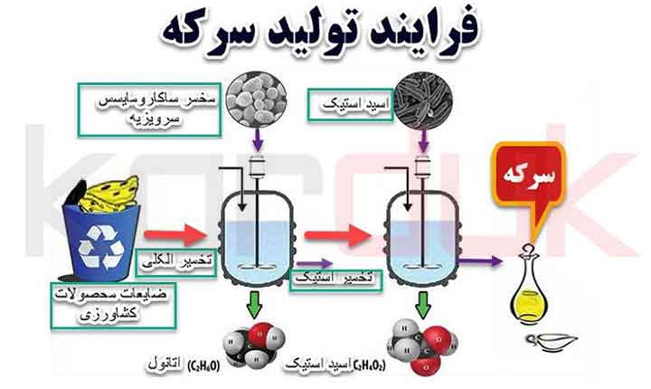طرح توجیهی تولید سرکه | انواع سرکه