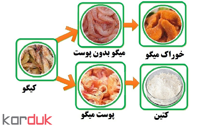 طرح توجیهی تولید کتین و کتیوسان (کتیوزان) | معرفی محصول