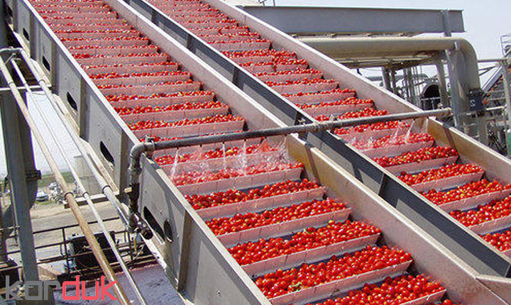 خط تولید رب گوجه فرنگی