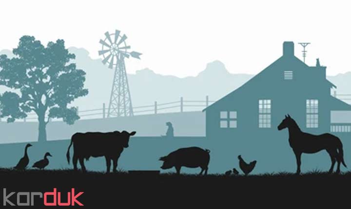 Agricultural, livestock and poultry justification plan
