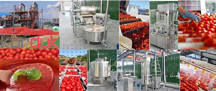 طرح توچیهی رب گوجه فرنگی