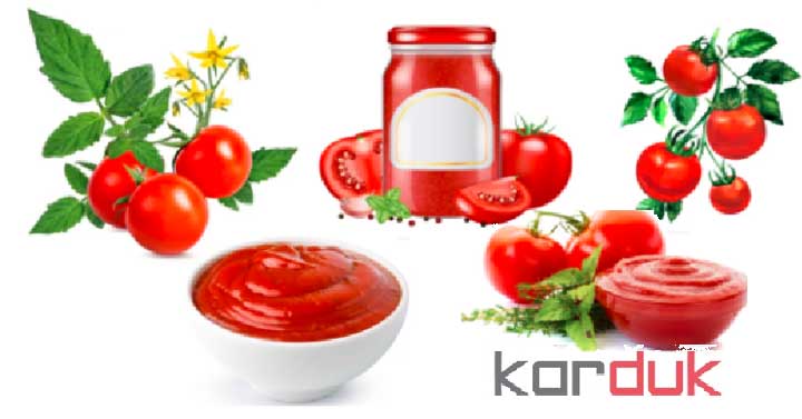 طرح توچیهی رب گوجه فرنگی