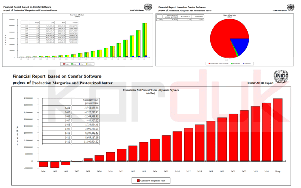 Comfar's financial and economic calculations