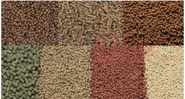 Production of Aquatic Feed