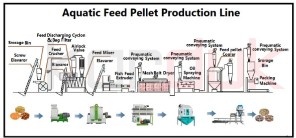 production line of fish feed