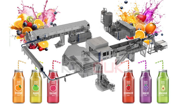 Machinery for Production of various fruit juices