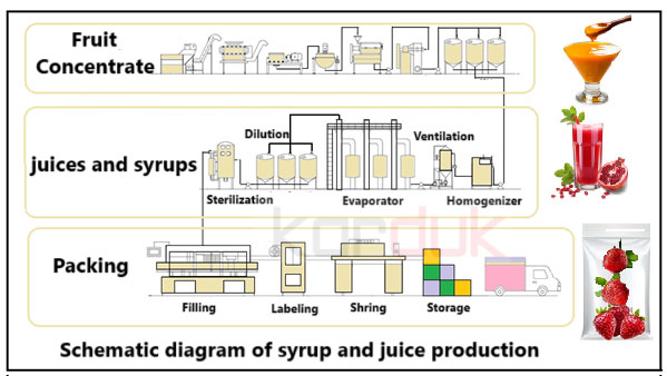 process of Production of various fruit juices