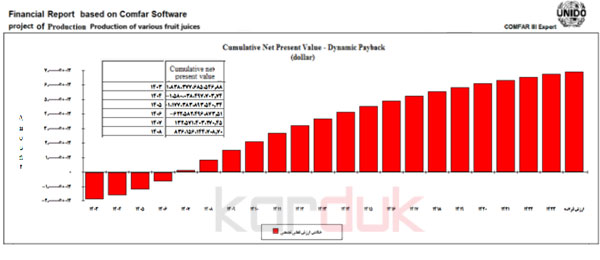 Dynamic Pay Back Period of juice