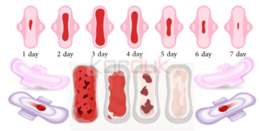 The importance of Sanitary Napkin