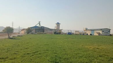 فروش مچتمع کشت و صنعت