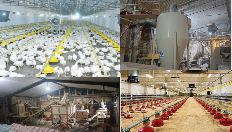 نمای داخلی مجتمغ