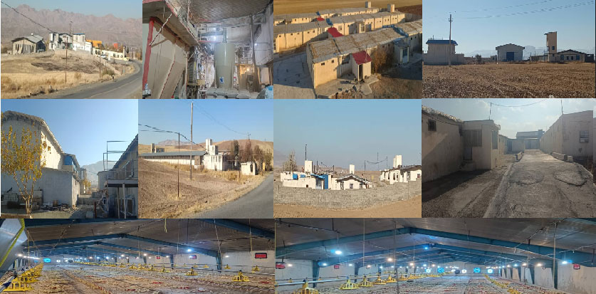 نمای بنگاههای مجتمغ