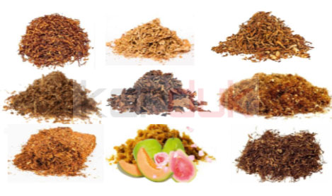 تنباکوی ایرانی