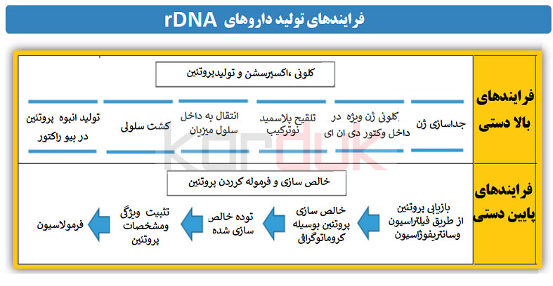فرایند تولید داروهای نوترکیب و پپتیدی